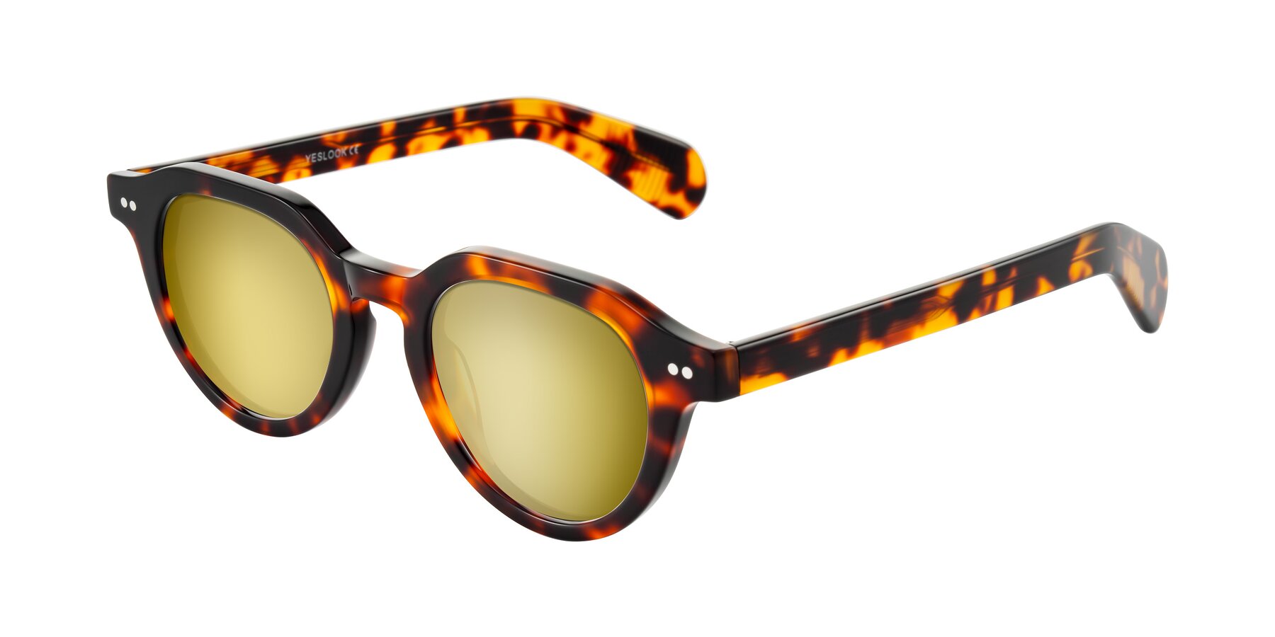 Angle of Rohamn in Tortoise with Gold Mirrored Lenses