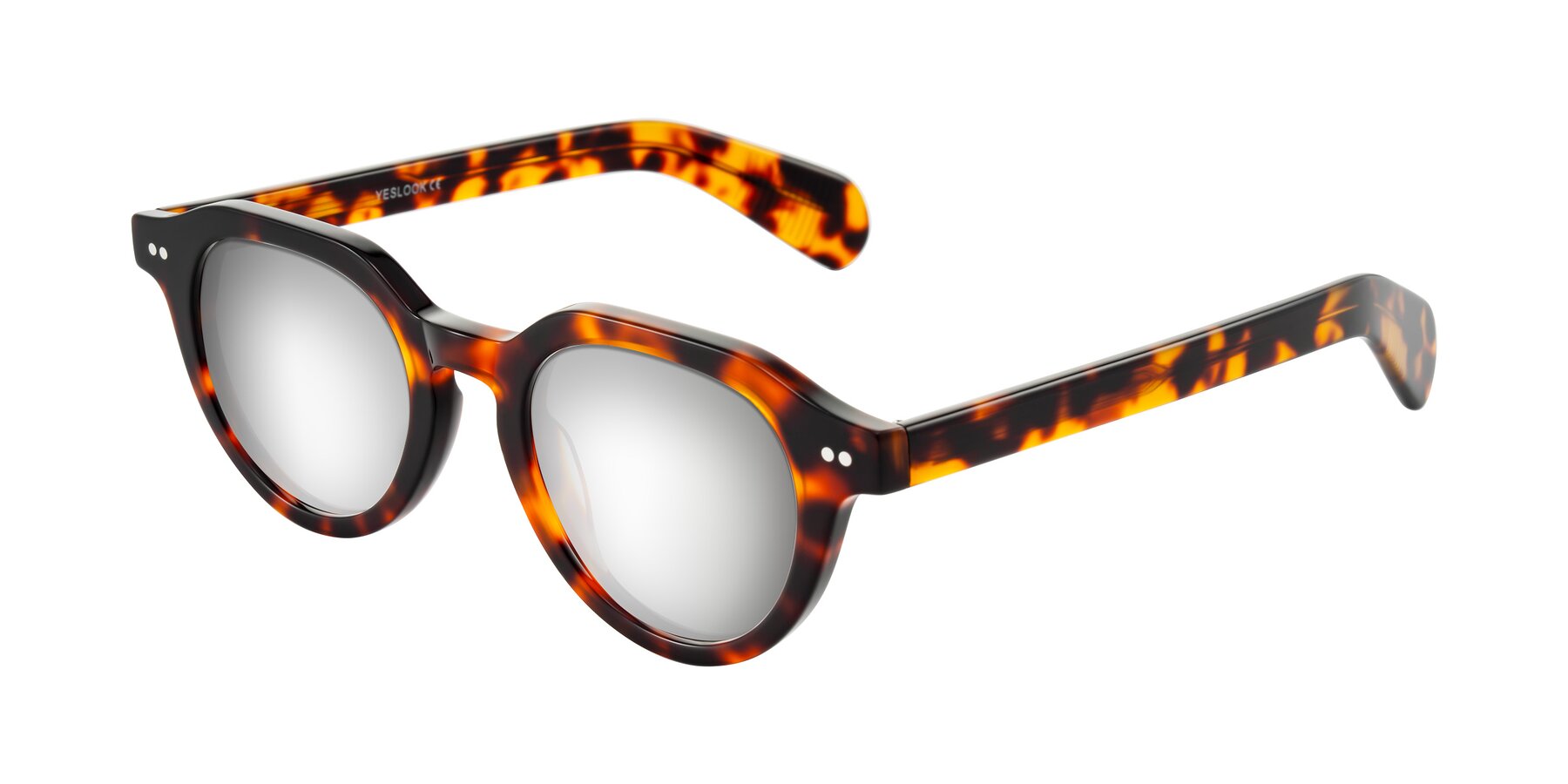 Angle of Rohamn in Tortoise with Silver Mirrored Lenses
