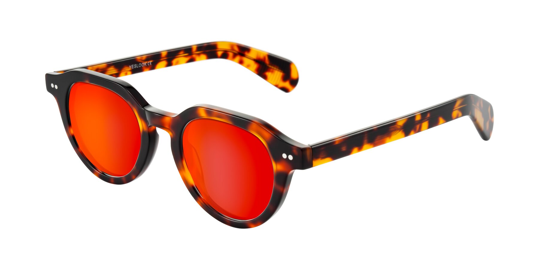 Angle of Rohamn in Tortoise with Red Gold Mirrored Lenses