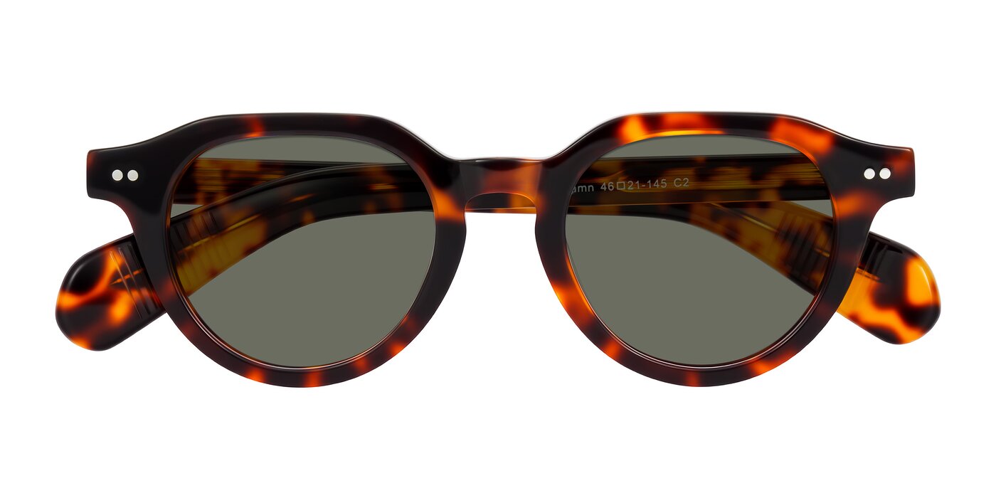 Rohamn - Tortoise Polarized Sunglasses