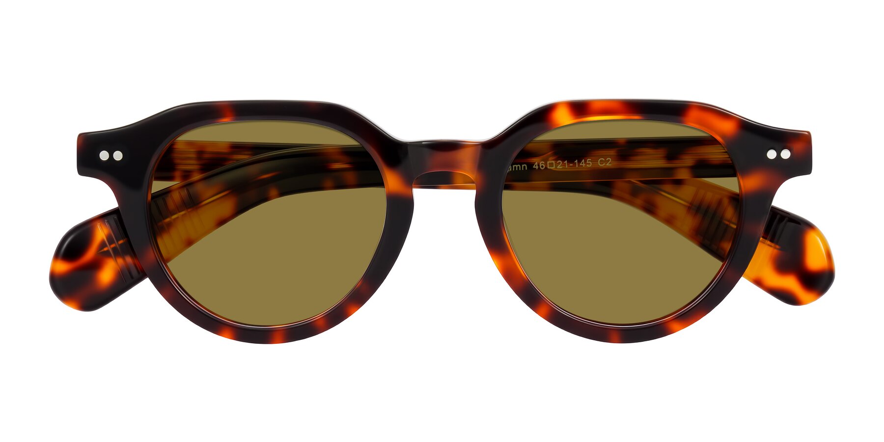 Folded Front of Rohamn in Tortoise with Brown Polarized Lenses