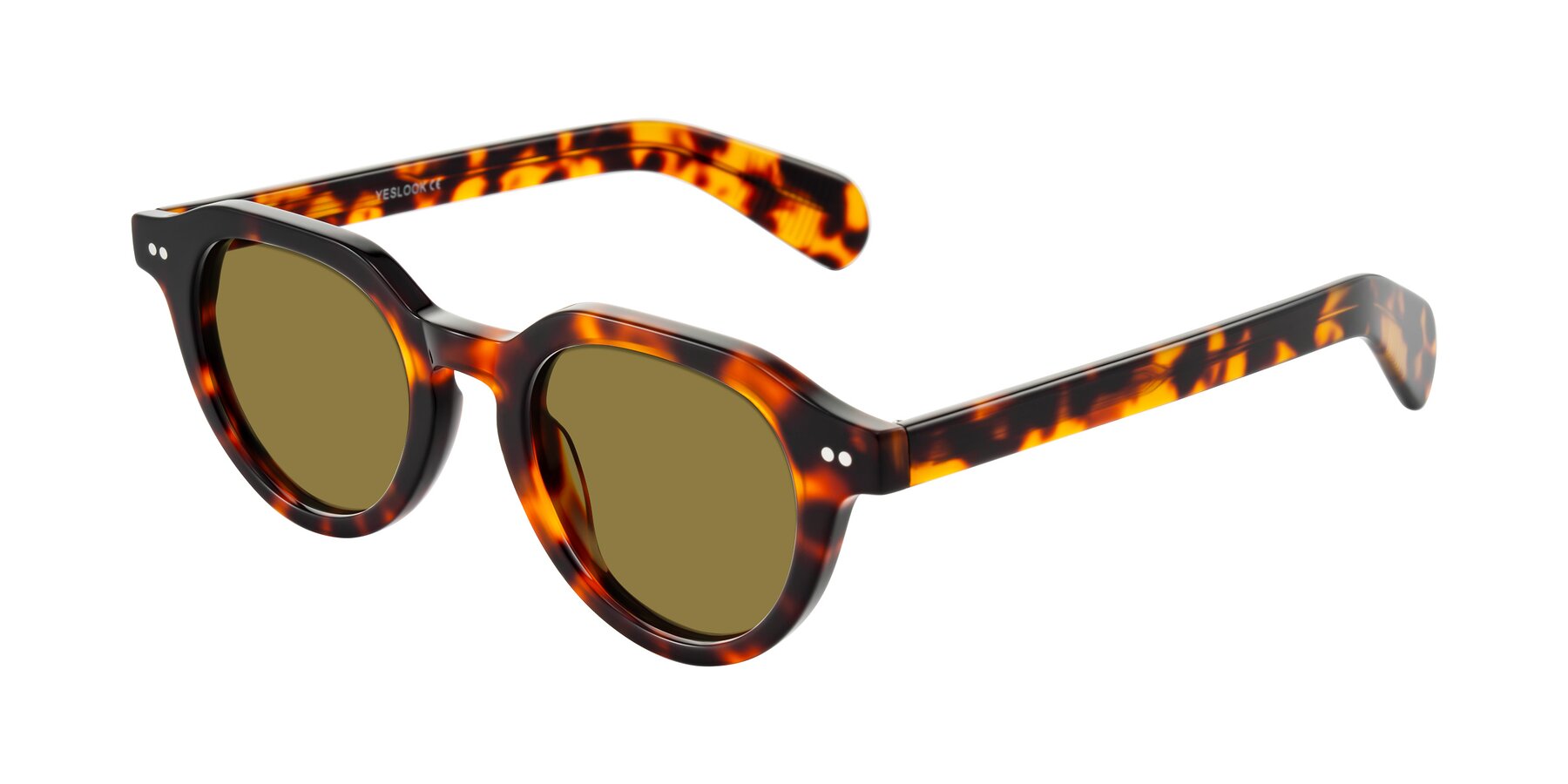 Angle of Rohamn in Tortoise with Brown Polarized Lenses