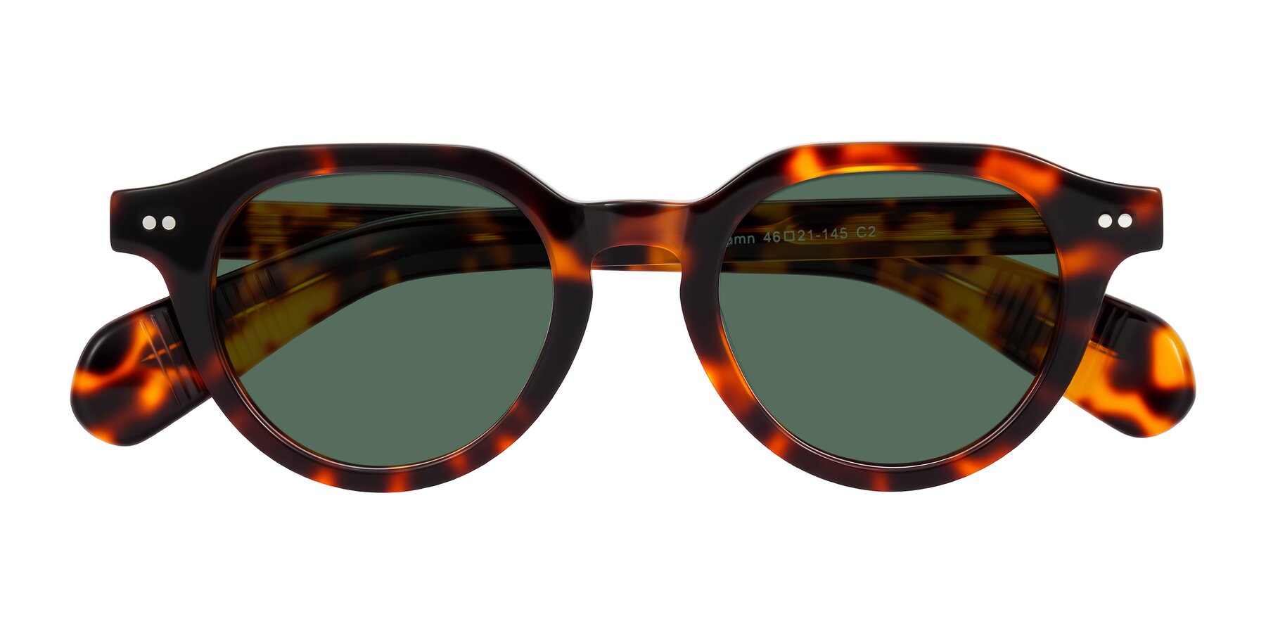Folded Front of Rohamn in Tortoise with Green Polarized Lenses