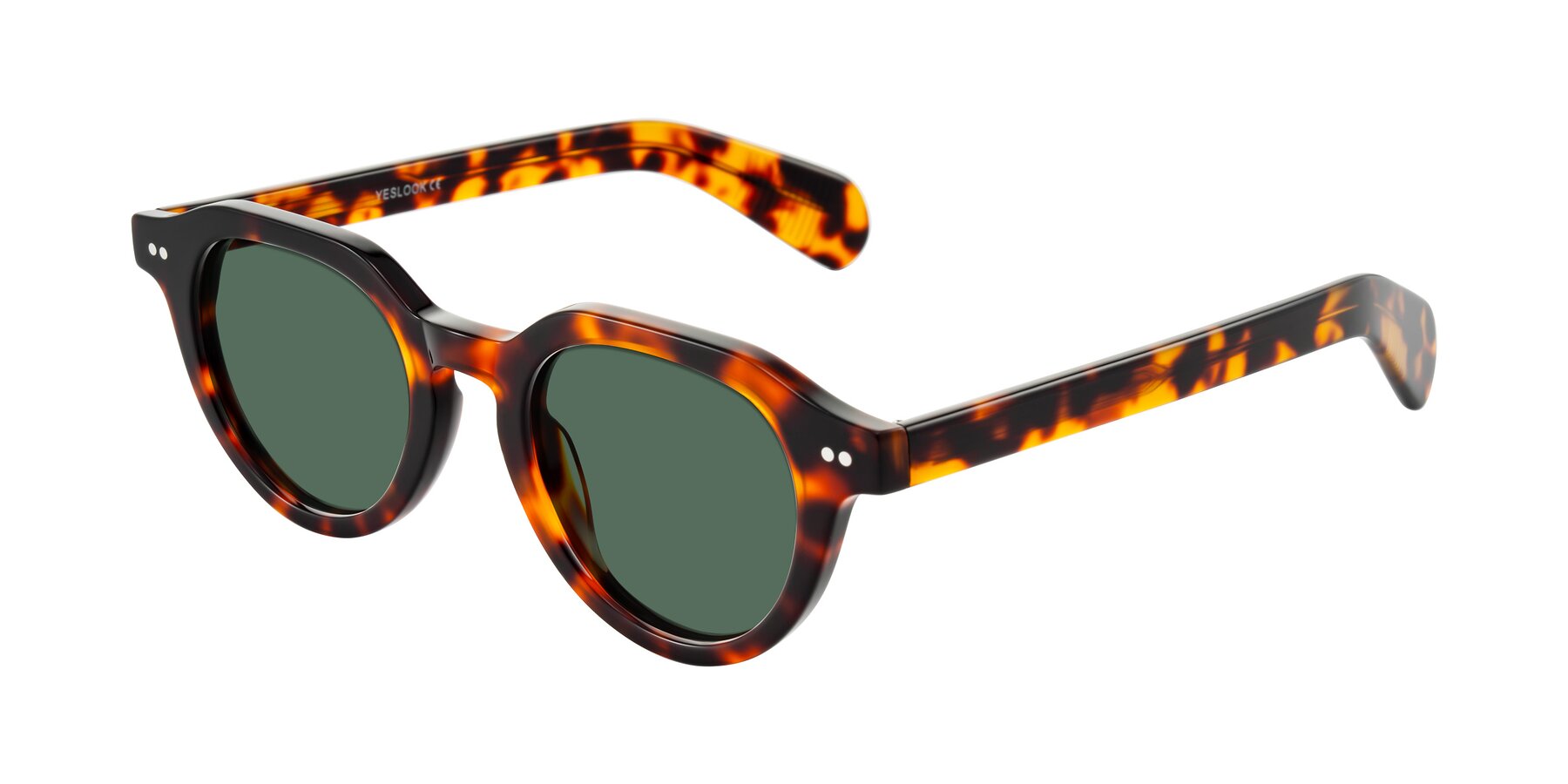 Angle of Rohamn in Tortoise with Green Polarized Lenses