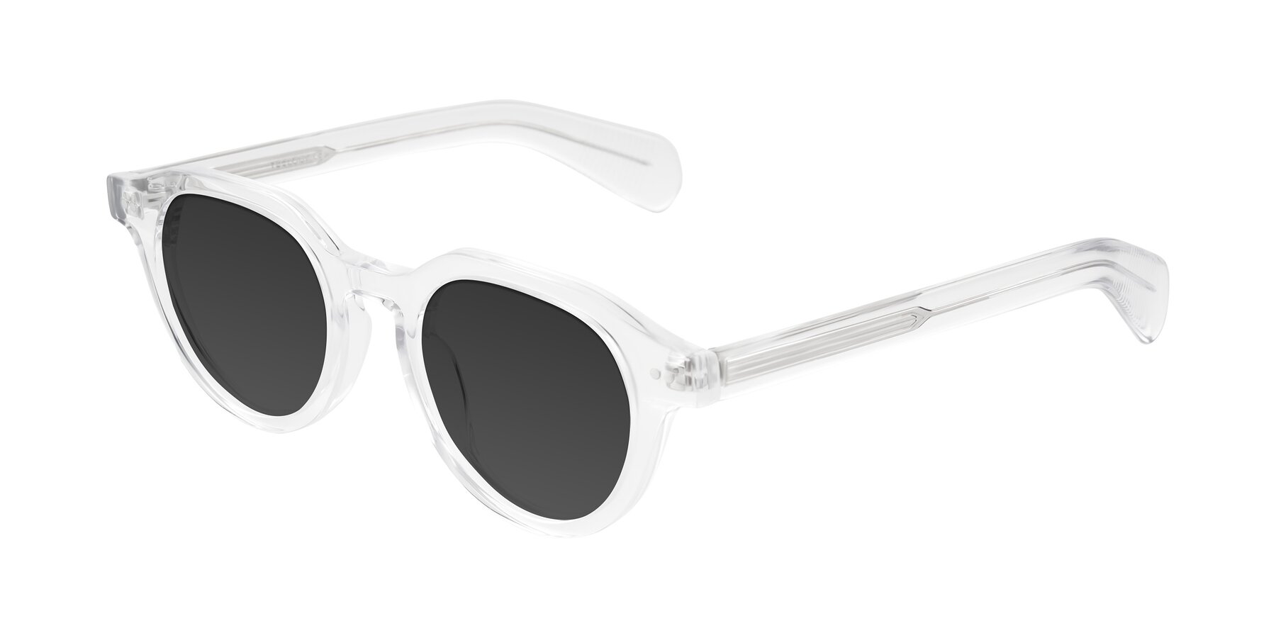 Angle of Rohamn in Clear with Gray Tinted Lenses