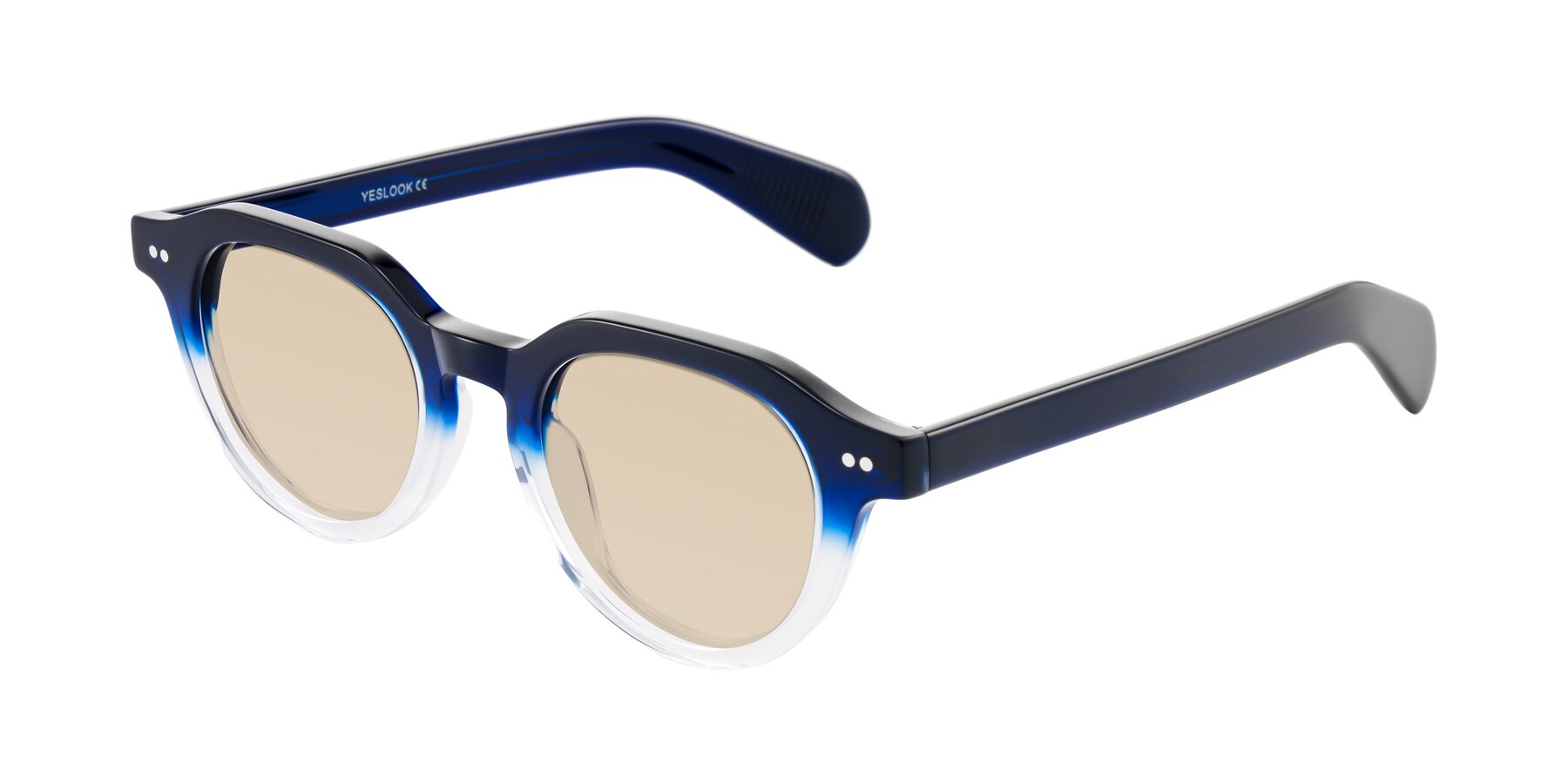 Angle of Rohamn in Navy Blue/Clear with Light Brown Tinted Lenses