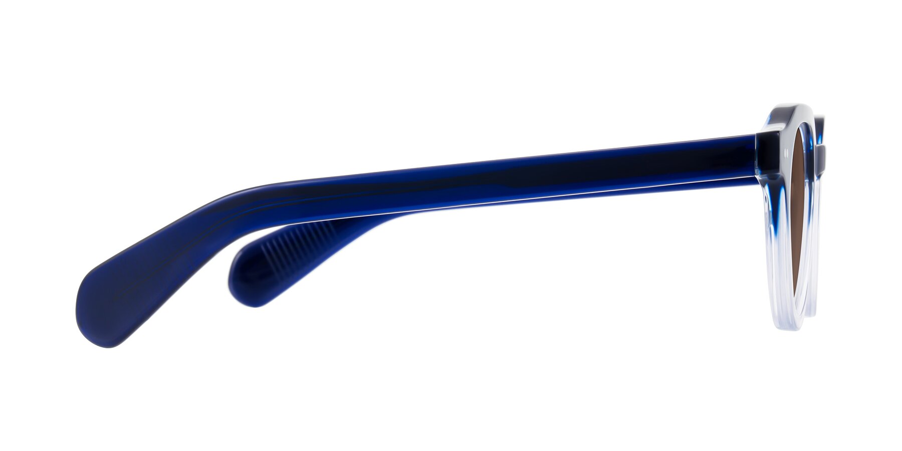 Side of Rohamn in Navy Blue/Clear with Brown Tinted Lenses