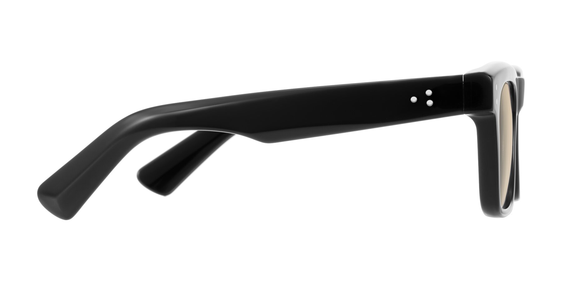 Side of Paisley in Black with Light Brown Tinted Lenses