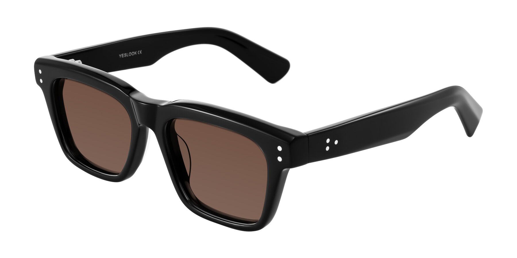 Angle of Paisley in Black with Brown Tinted Lenses