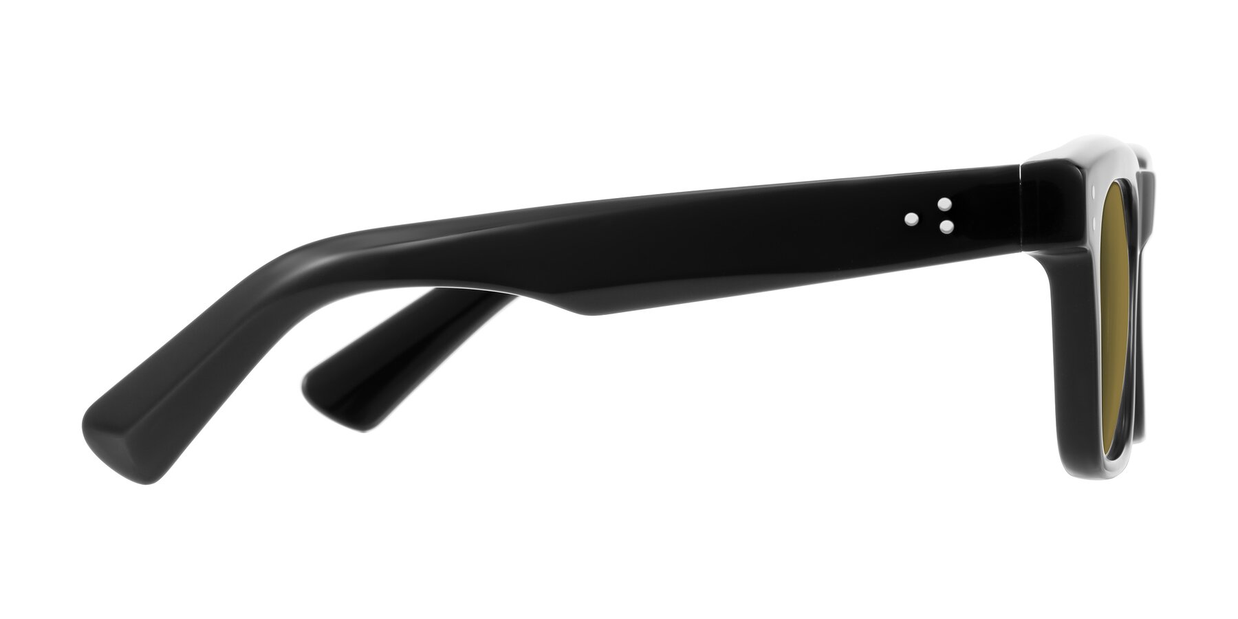 Side of Paisley in Black with Brown Polarized Lenses