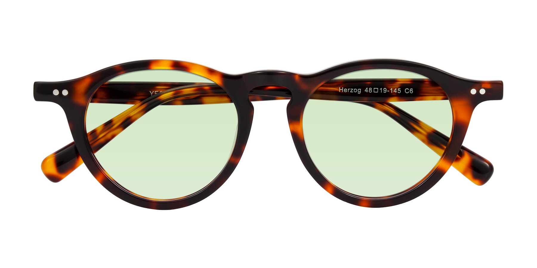 Folded Front of Herzog in Tortoise with Light Green Tinted Lenses