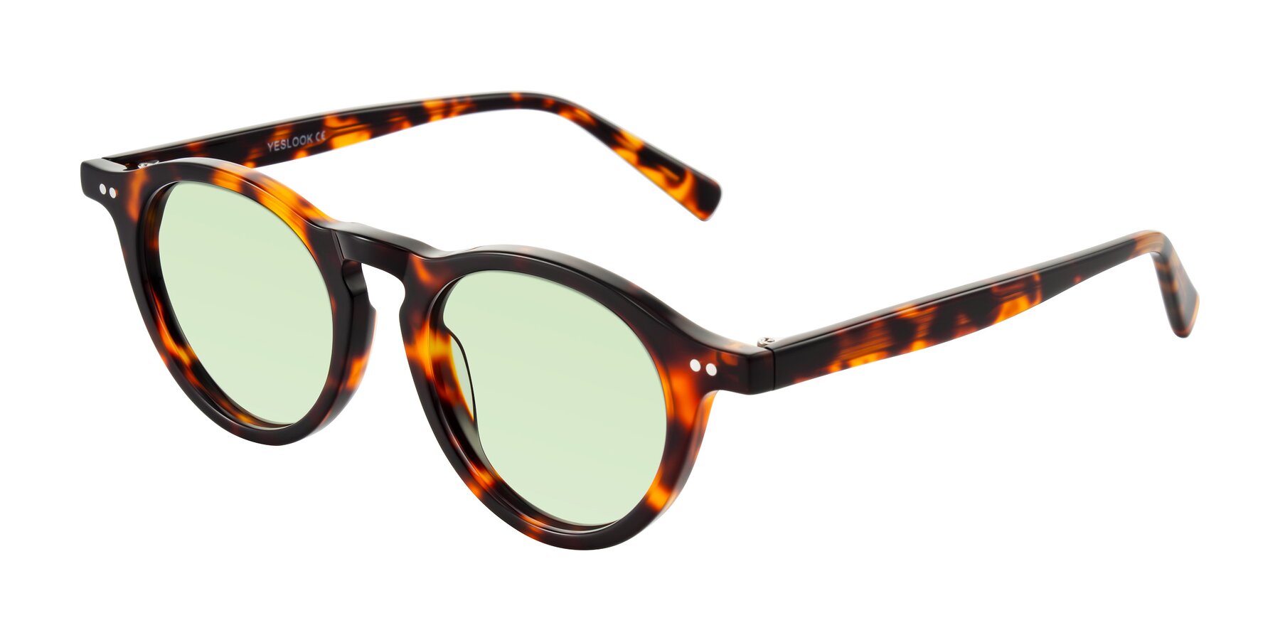 Angle of Herzog in Tortoise with Light Green Tinted Lenses