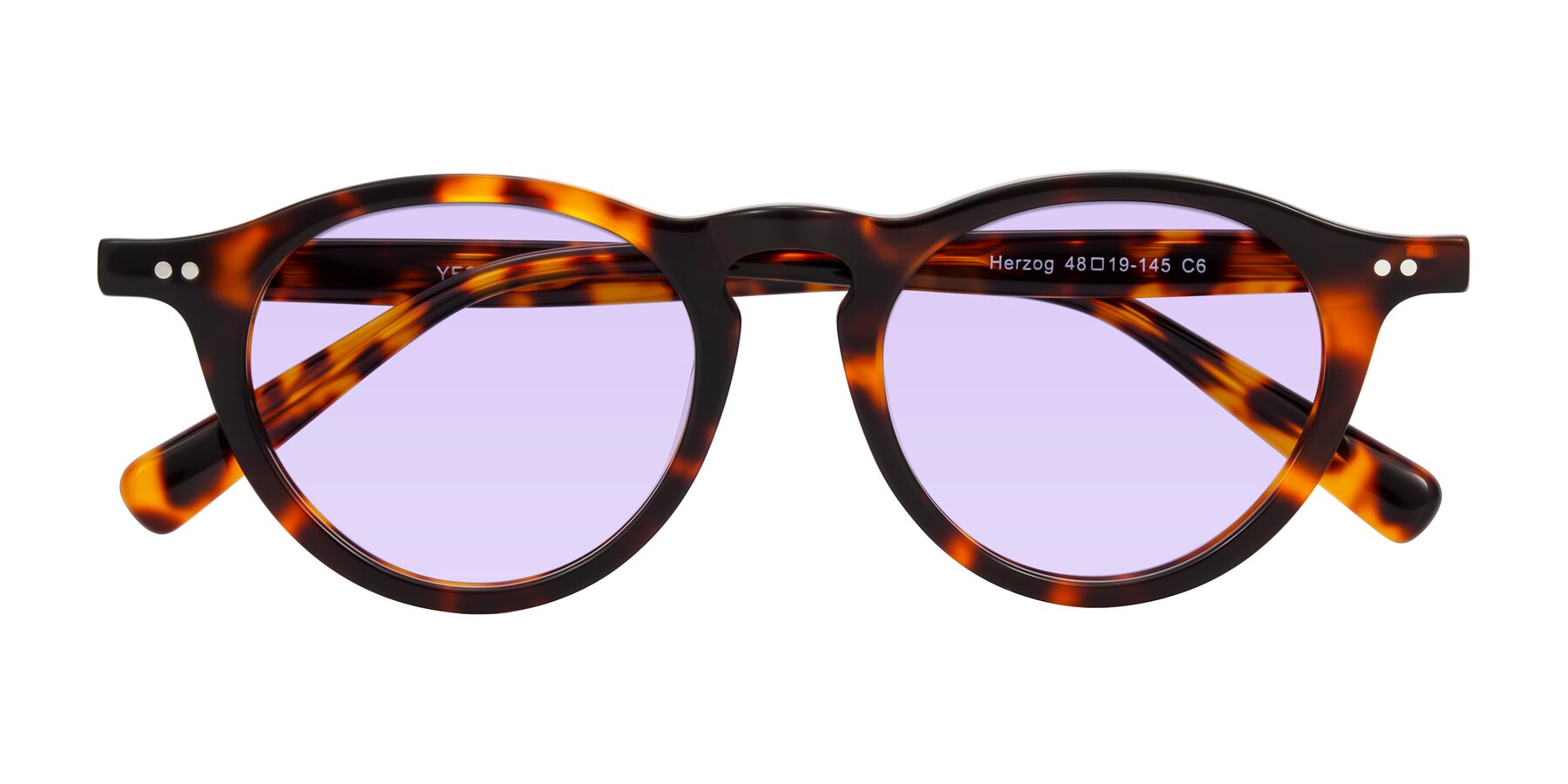 Folded Front of Herzog in Tortoise with Light Purple Tinted Lenses