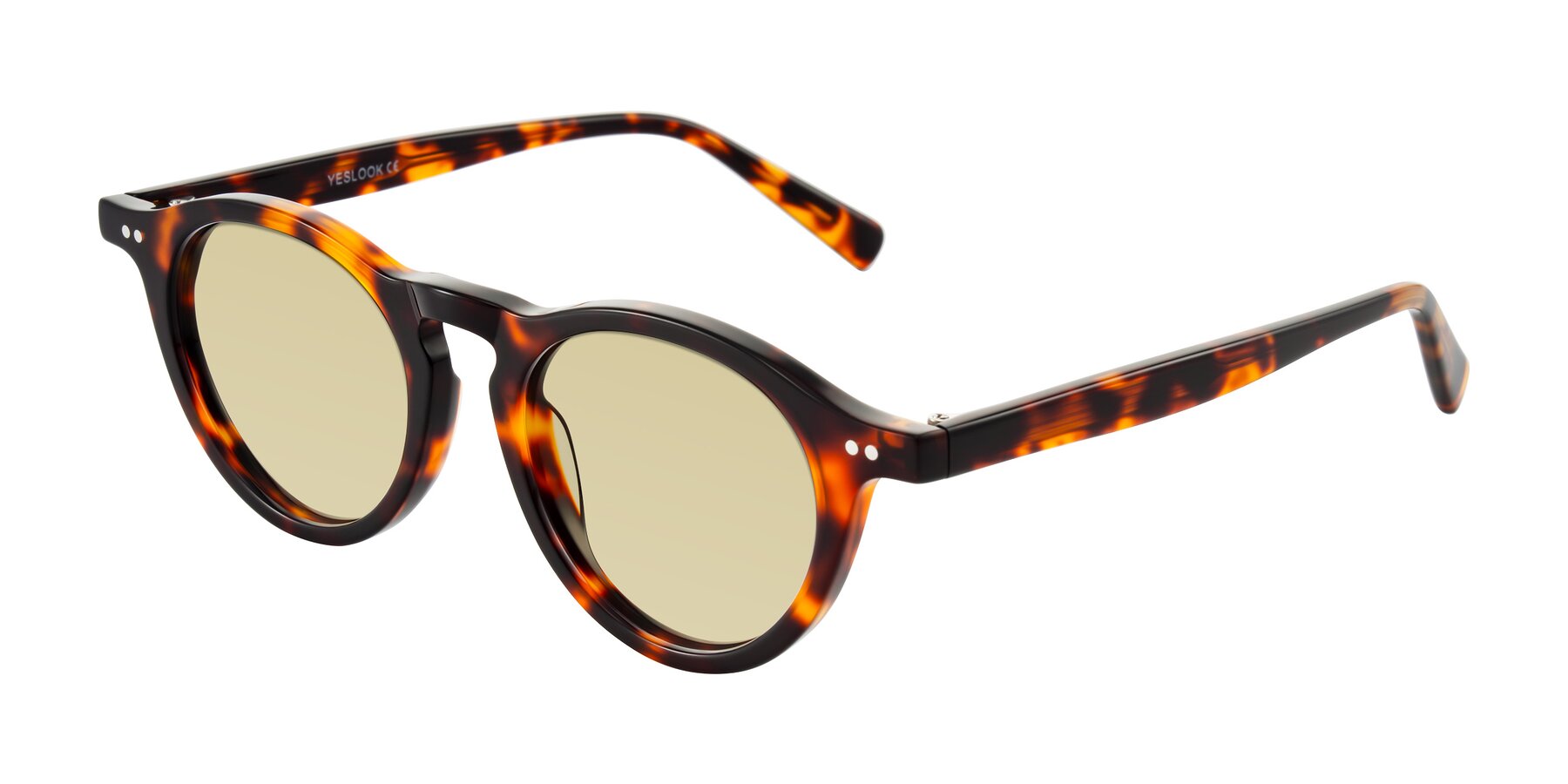 Angle of Herzog in Tortoise with Light Champagne Tinted Lenses