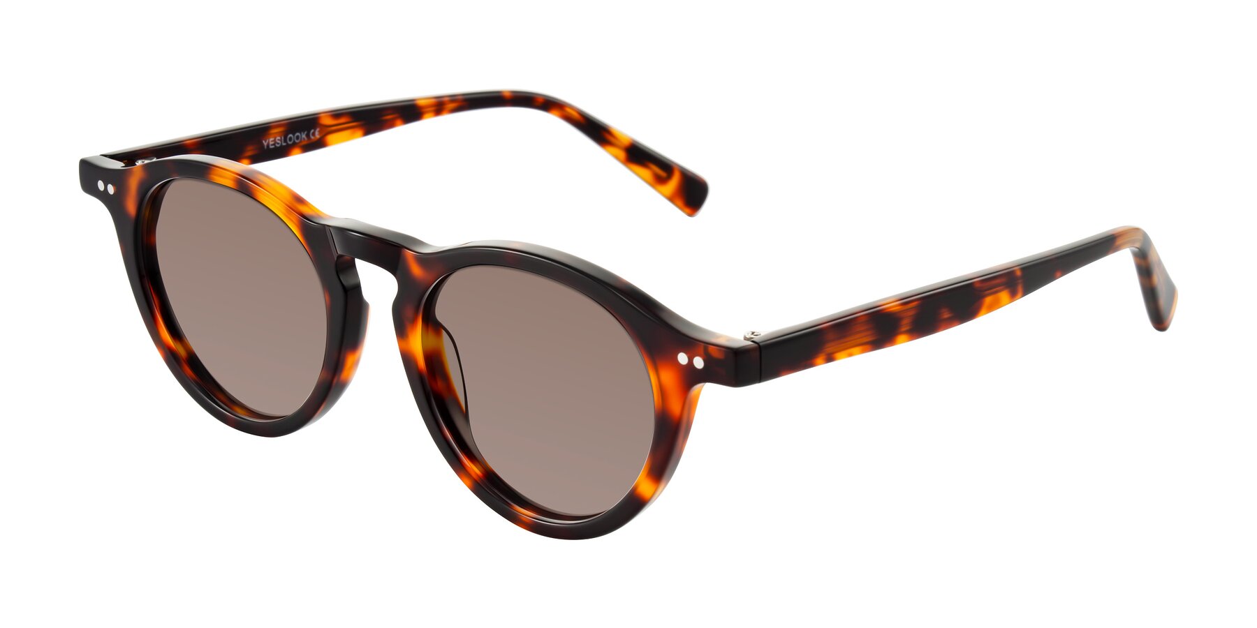 Angle of Herzog in Tortoise with Medium Brown Tinted Lenses
