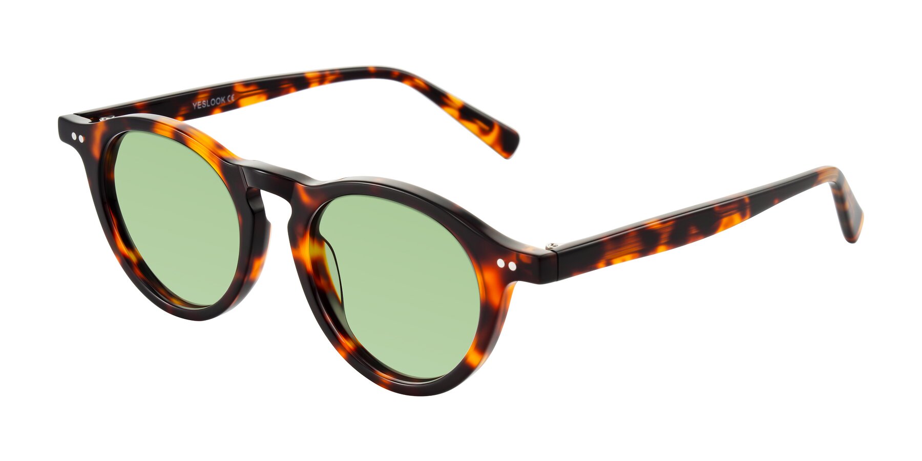 Angle of Herzog in Tortoise with Medium Green Tinted Lenses