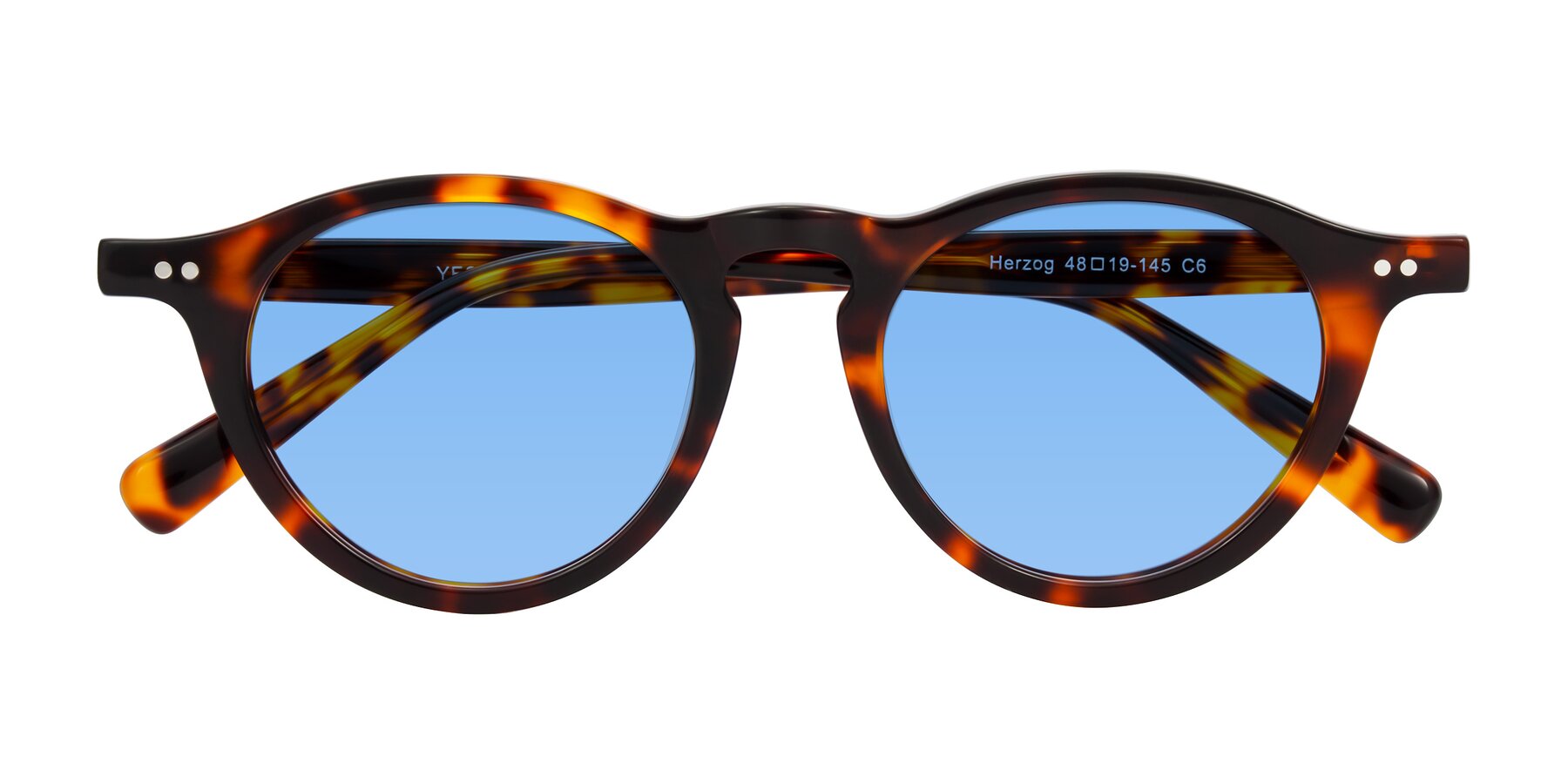 Folded Front of Herzog in Tortoise with Medium Blue Tinted Lenses