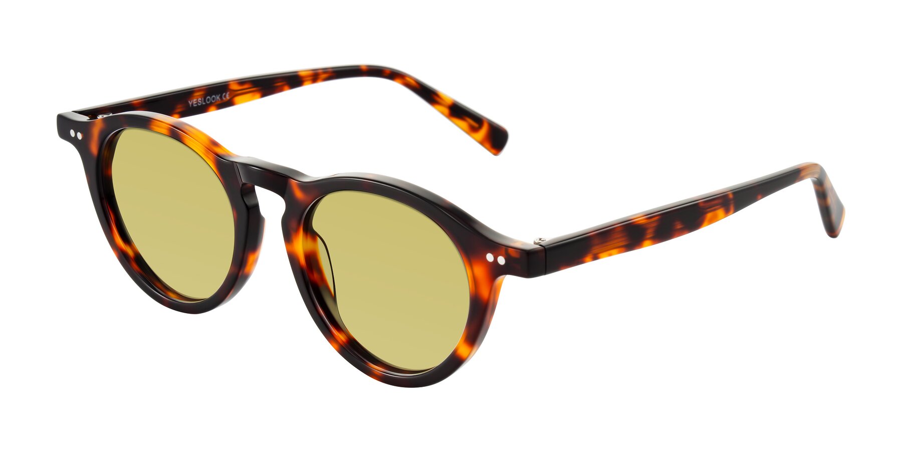 Angle of Herzog in Tortoise with Medium Champagne Tinted Lenses