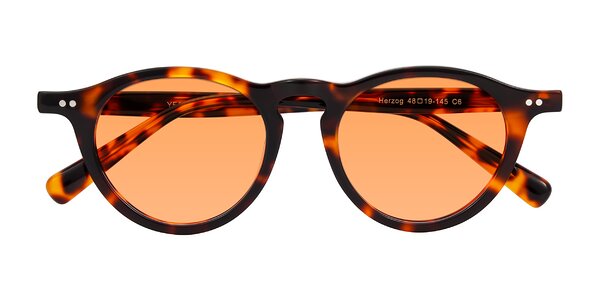 Front of Herzog in Tortoise