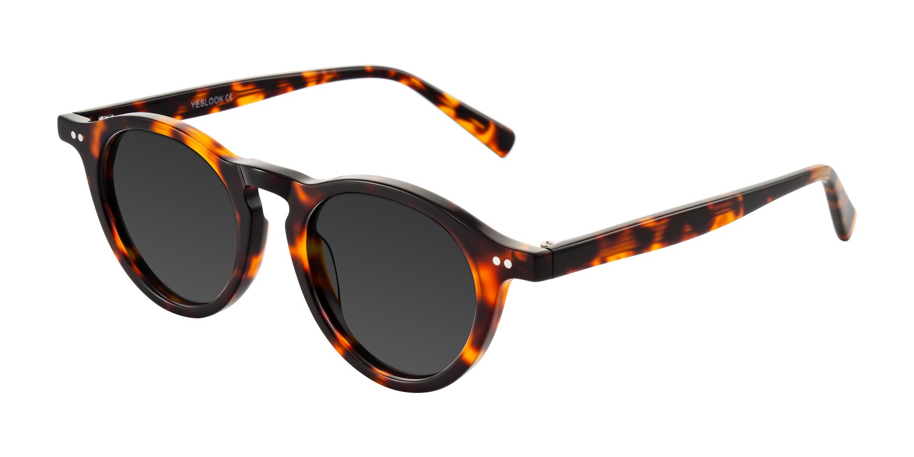 Angle of Herzog in Tortoise with Gray Tinted Lenses