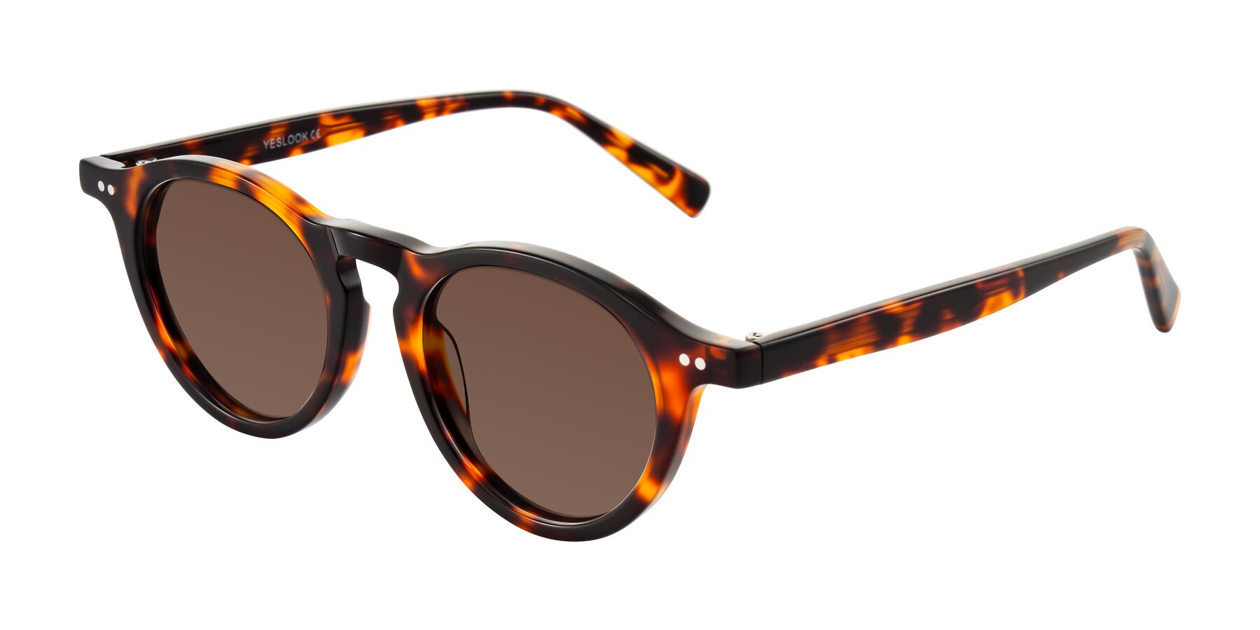 Angle of Herzog in Tortoise with Brown Tinted Lenses