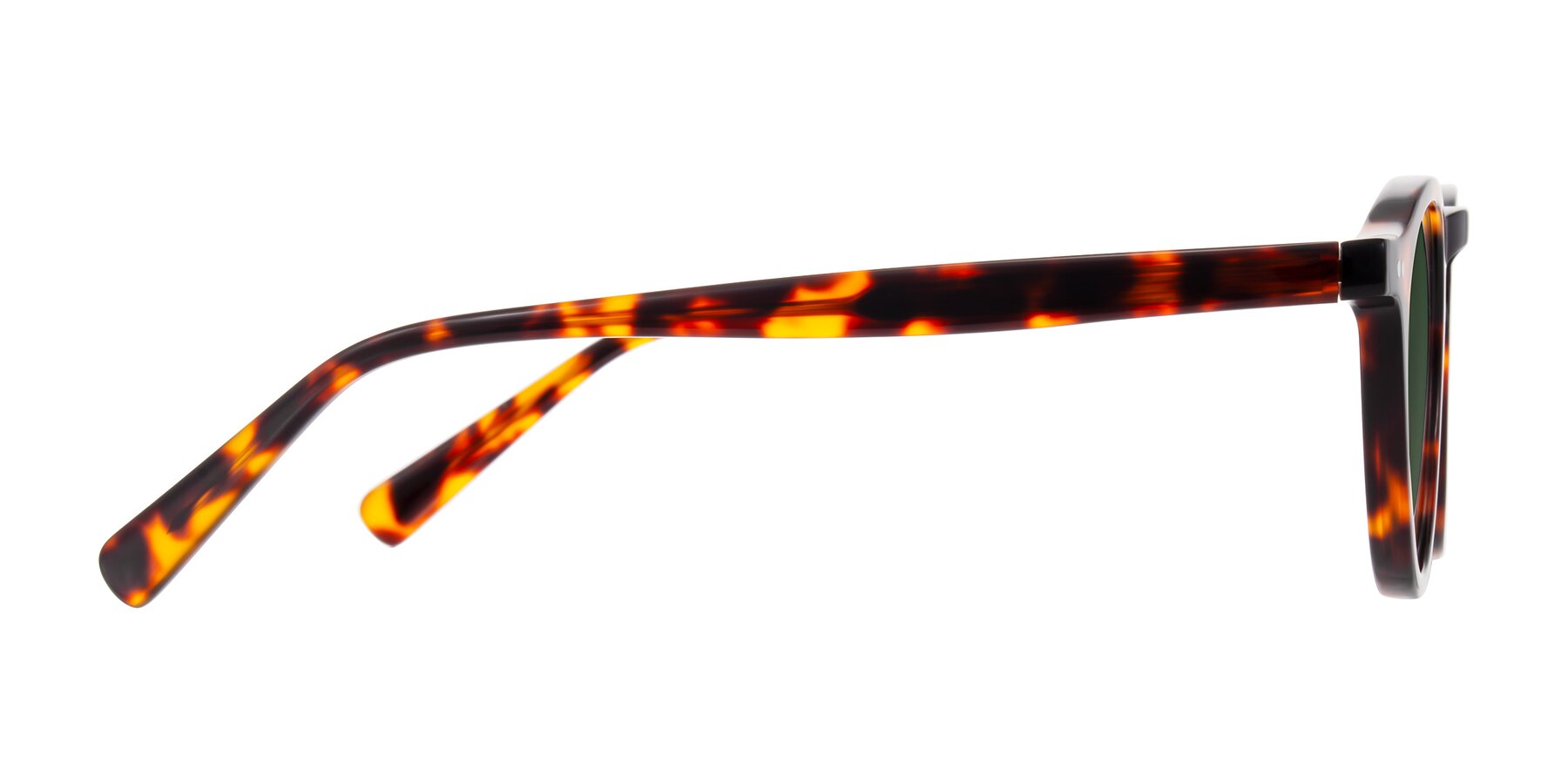Side of Herzog in Tortoise with Green Tinted Lenses