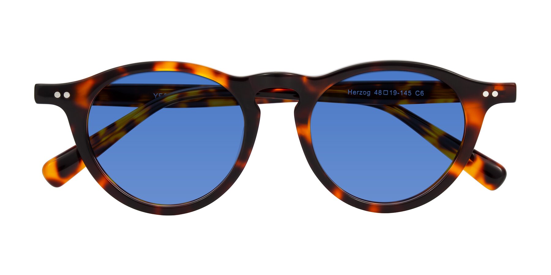 Folded Front of Herzog in Tortoise with Blue Tinted Lenses