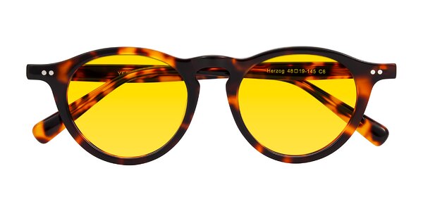 Front of Herzog in Tortoise