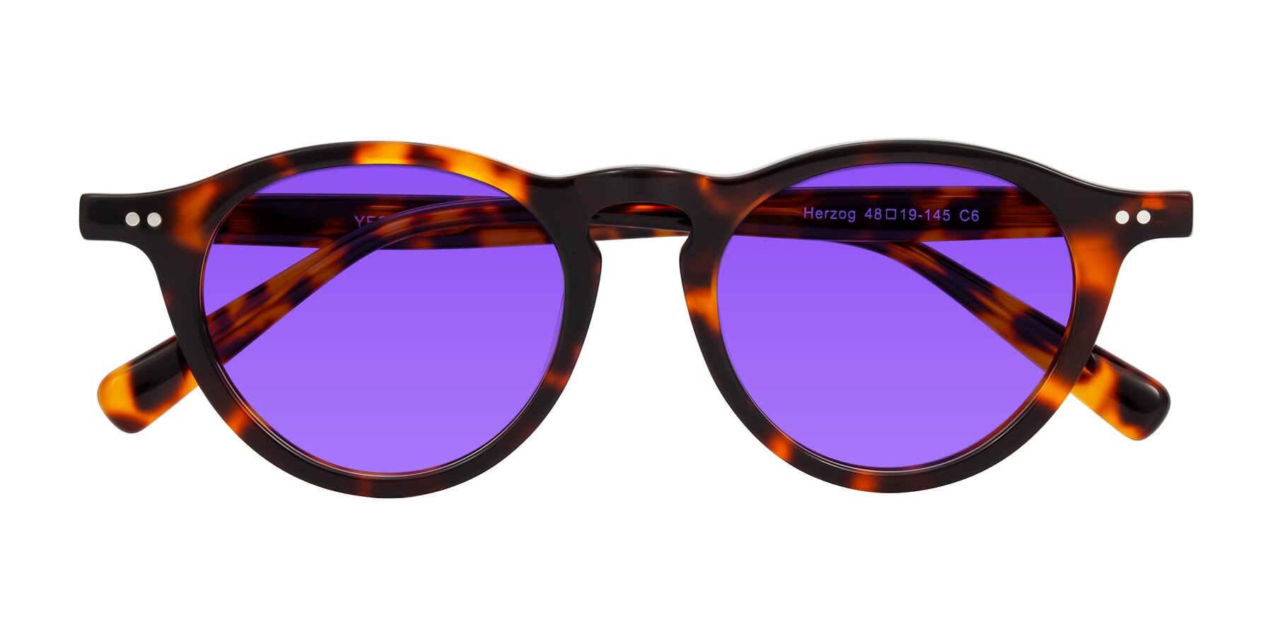 Folded Front of Herzog in Tortoise with Purple Tinted Lenses