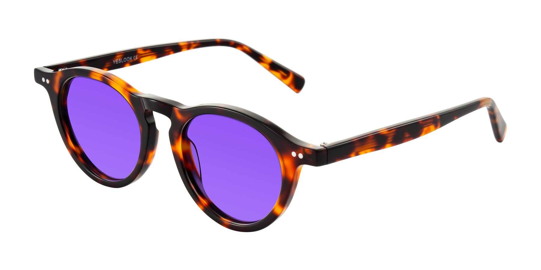 Angle of Herzog in Tortoise with Purple Tinted Lenses