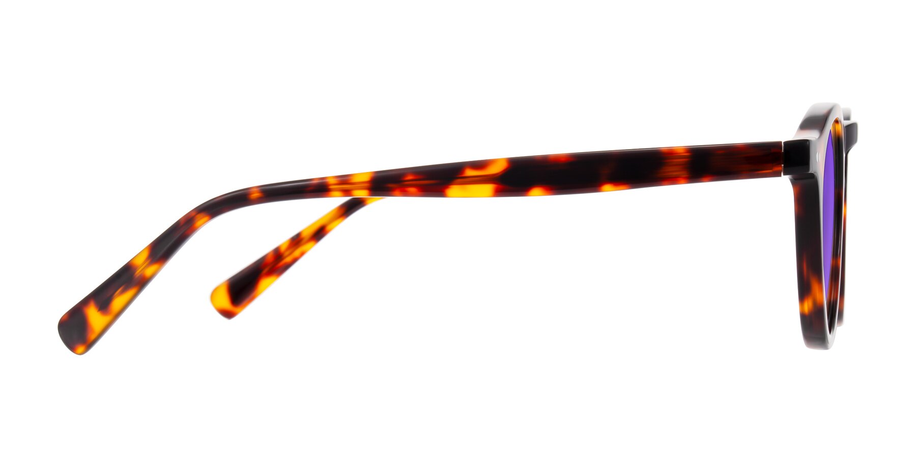 Side of Herzog in Tortoise with Purple Tinted Lenses