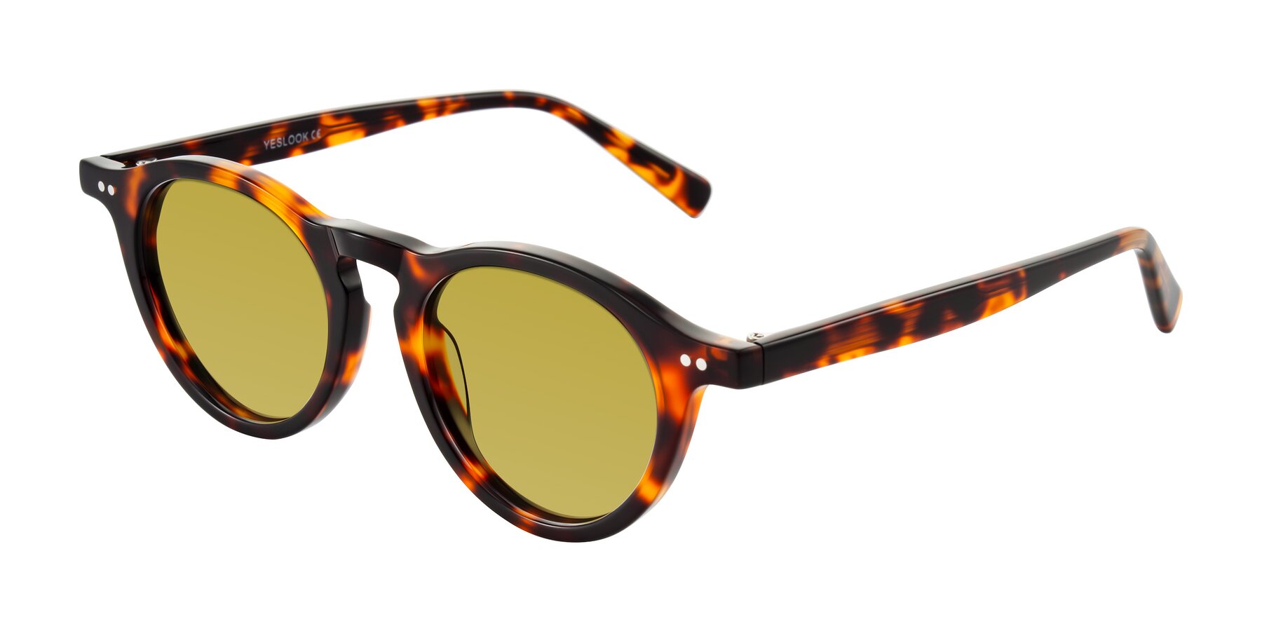 Angle of Herzog in Tortoise with Champagne Tinted Lenses