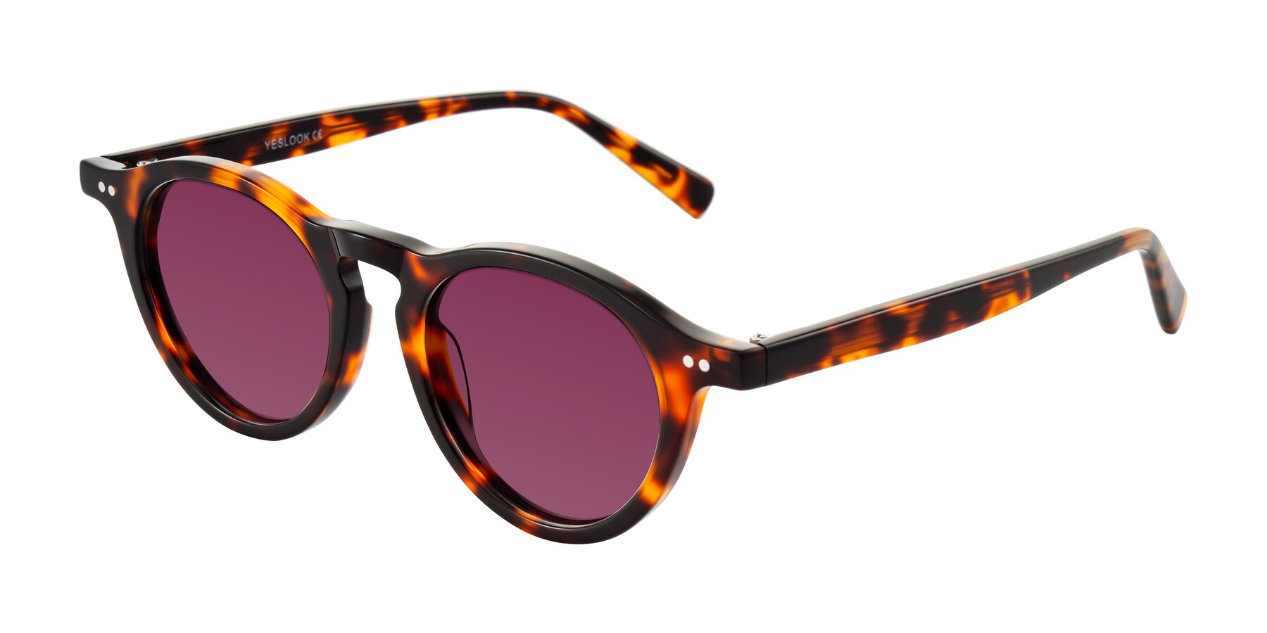 Angle of Herzog in Tortoise with Wine Tinted Lenses