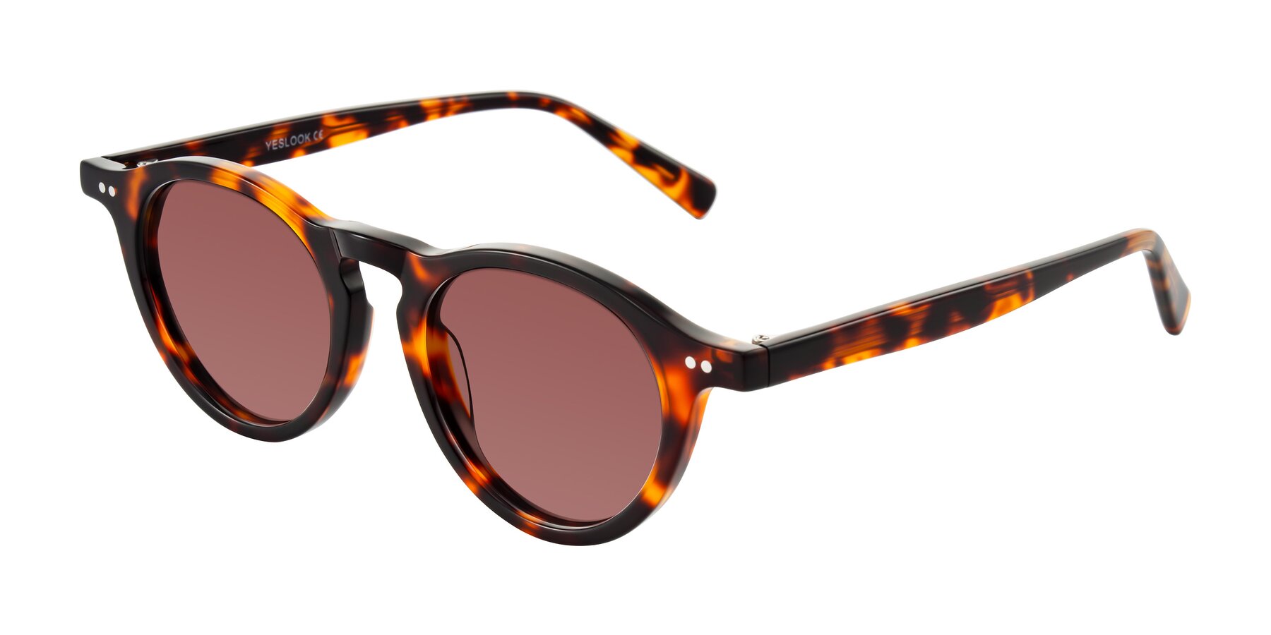 Angle of Herzog in Tortoise with Garnet Tinted Lenses