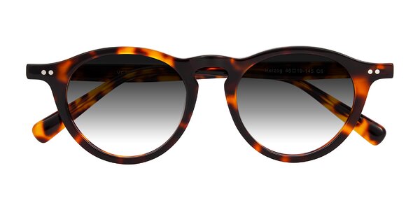 Front of Herzog in Tortoise