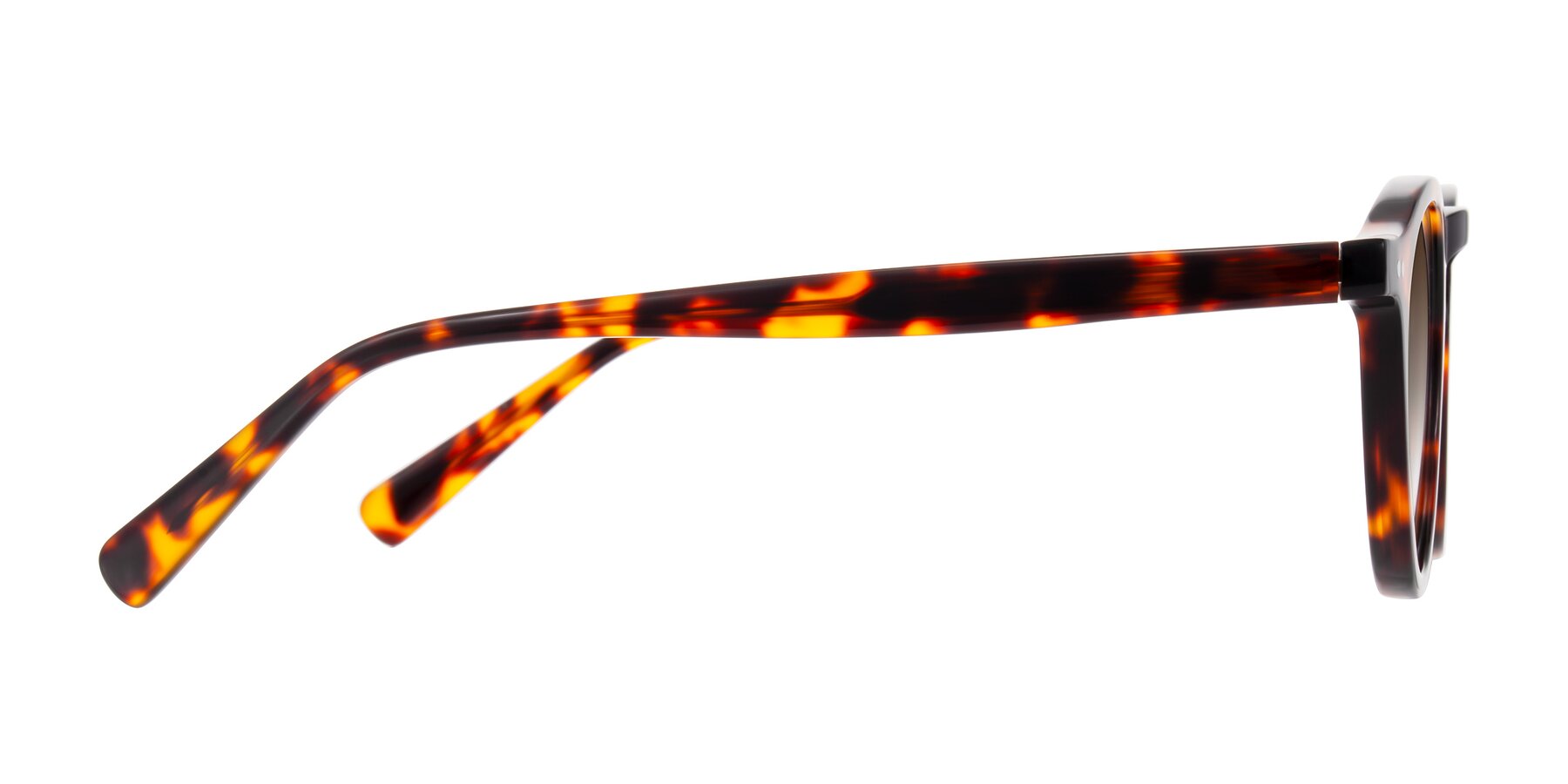 Side of Herzog in Tortoise with Brown Gradient Lenses