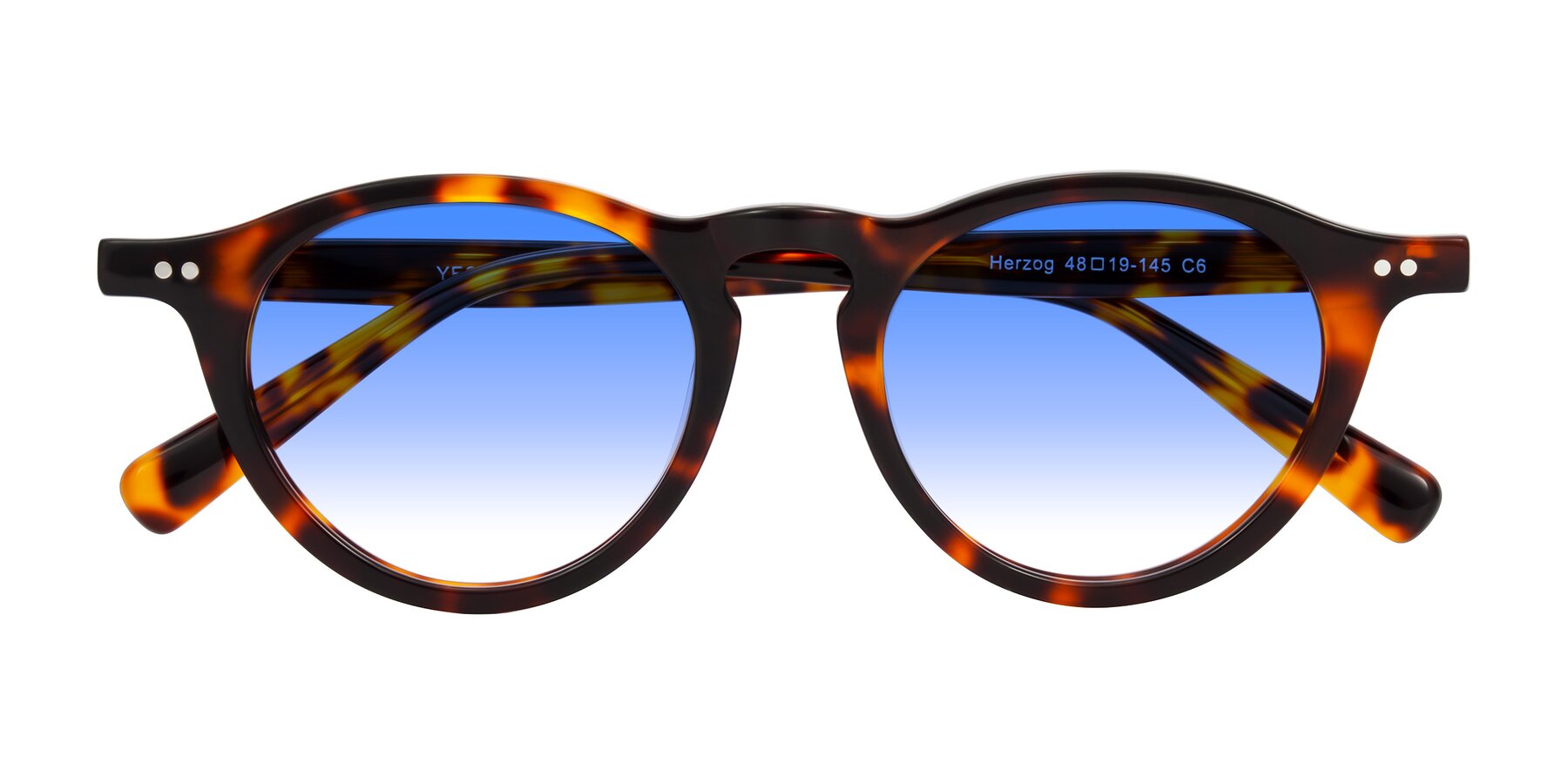 Folded Front of Herzog in Tortoise with Blue Gradient Lenses