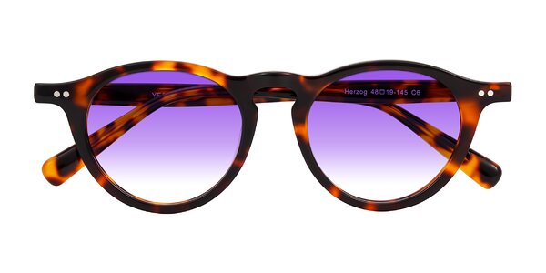 Front of Herzog in Tortoise
