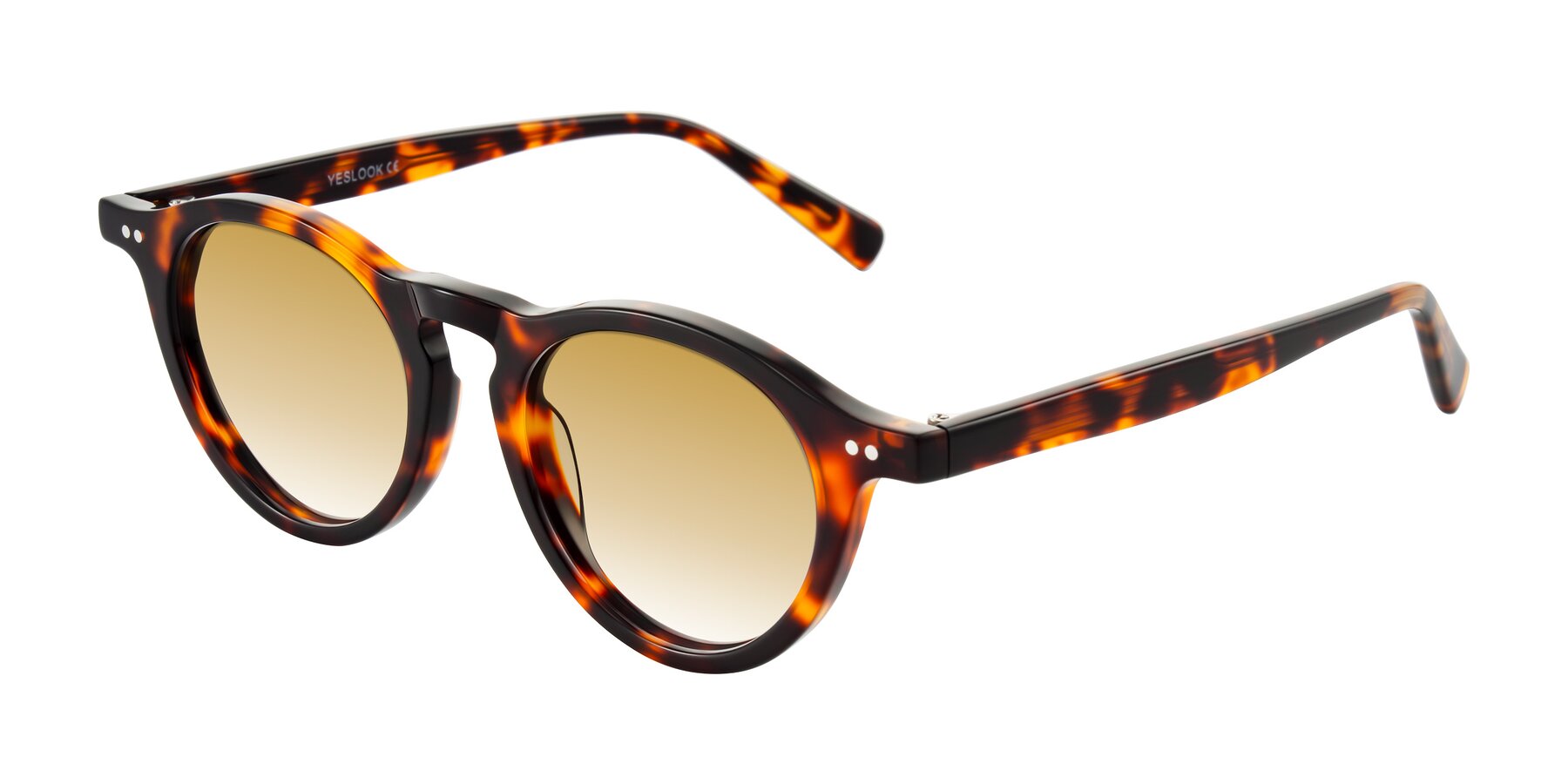 Angle of Herzog in Tortoise with Champagne Gradient Lenses