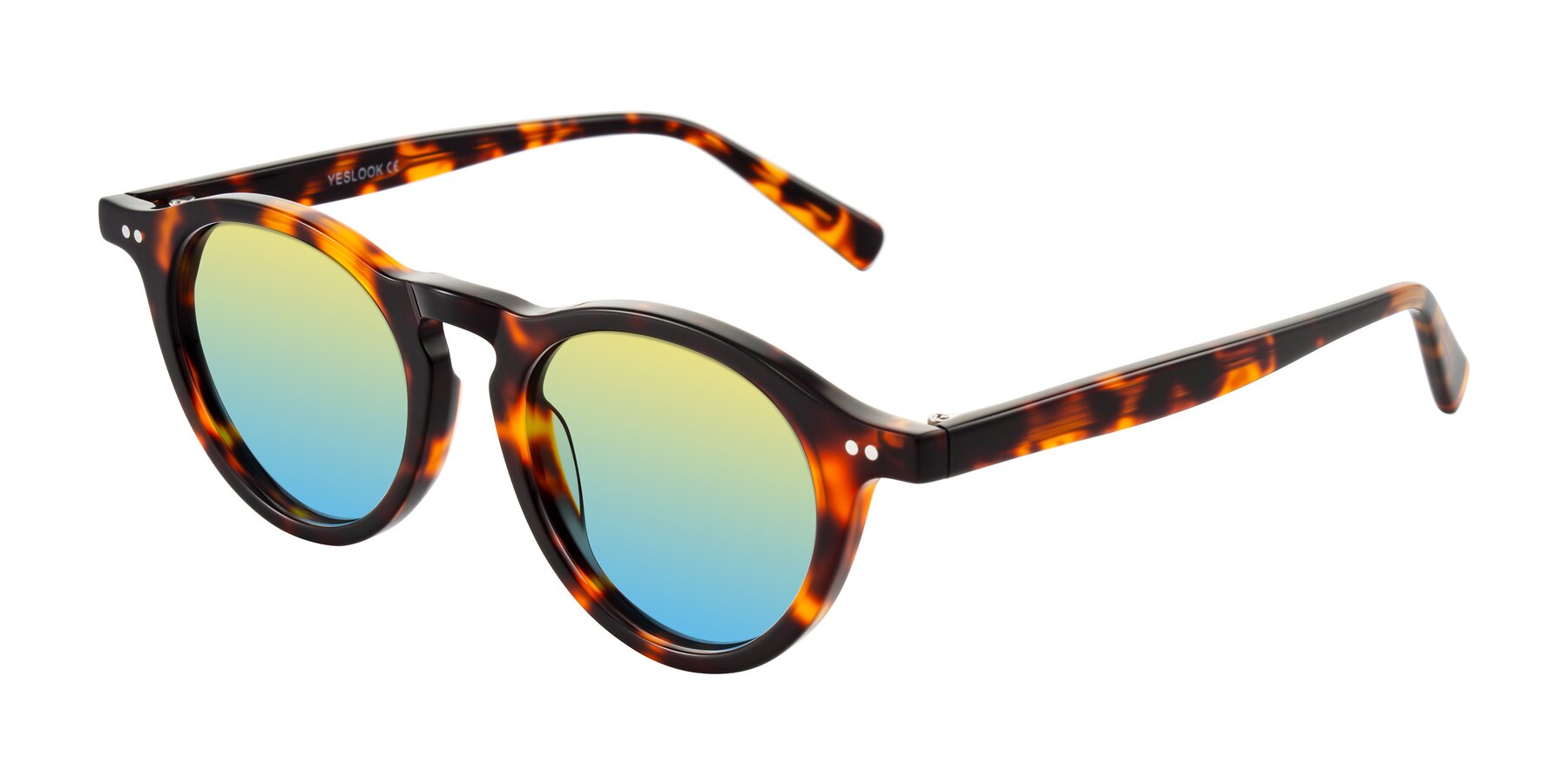 Angle of Herzog in Tortoise with Yellow / Blue Gradient Lenses