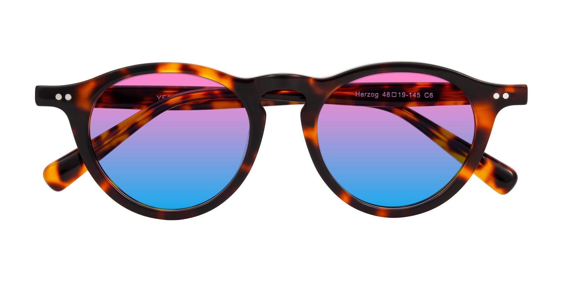 Folded Front of Herzog in Tortoise with Pink / Blue Gradient Lenses