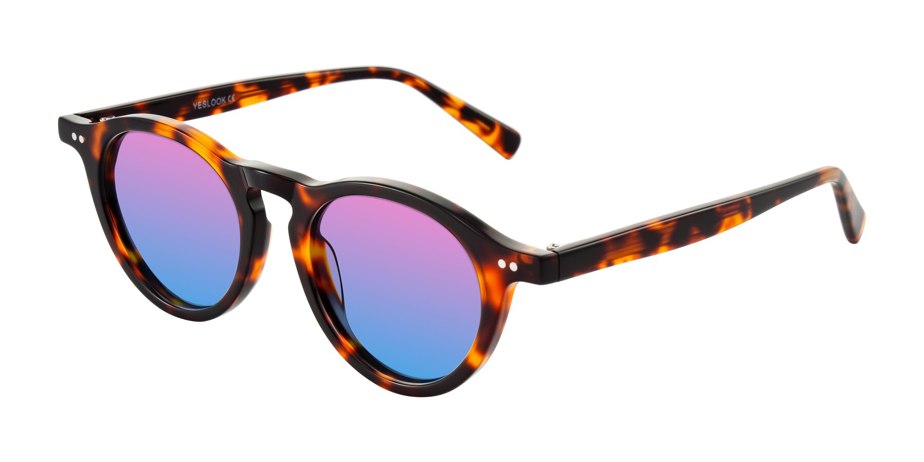 Angle of Herzog in Tortoise with Pink / Blue Gradient Lenses