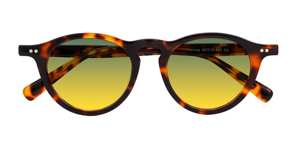 Front of Herzog in Tortoise