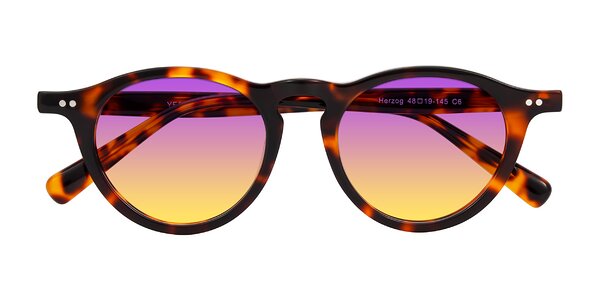 Front of Herzog in Tortoise