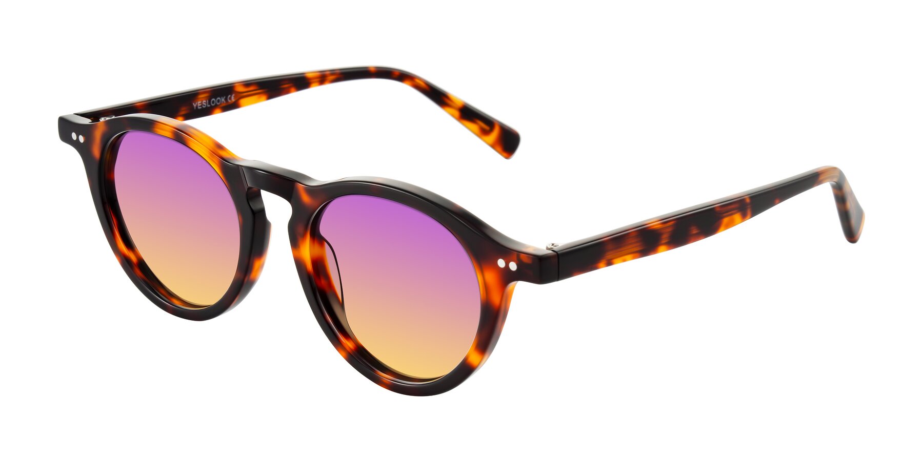 Angle of Herzog in Tortoise with Purple / Yellow Gradient Lenses