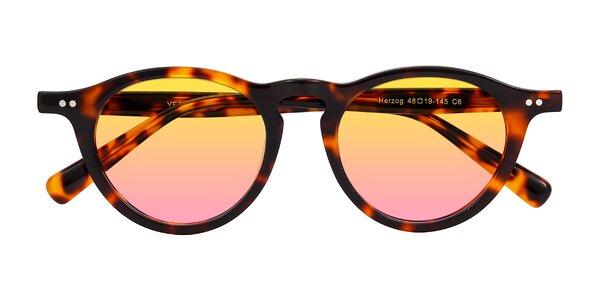 Front of Herzog in Tortoise