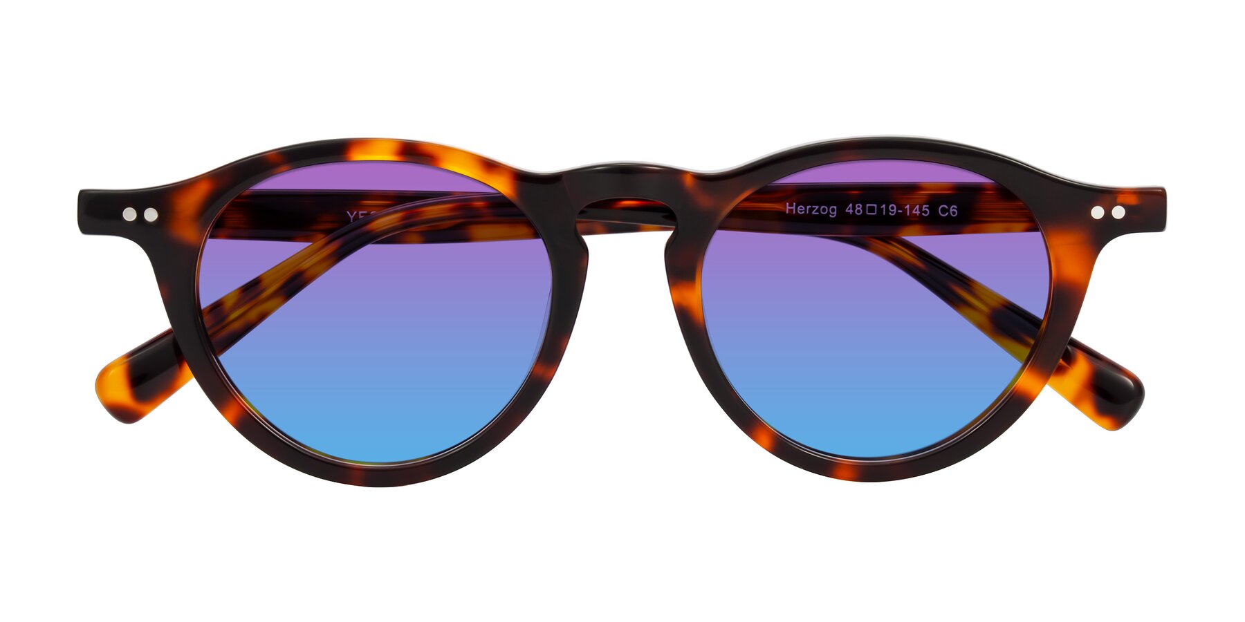 Folded Front of Herzog in Tortoise with Purple / Blue Gradient Lenses