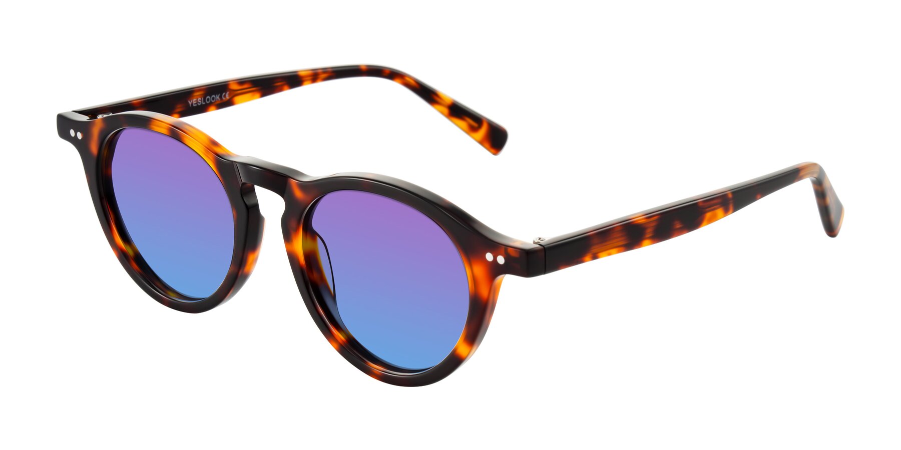 Angle of Herzog in Tortoise with Purple / Blue Gradient Lenses