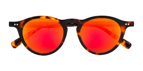 Front of Herzog in Tortoise