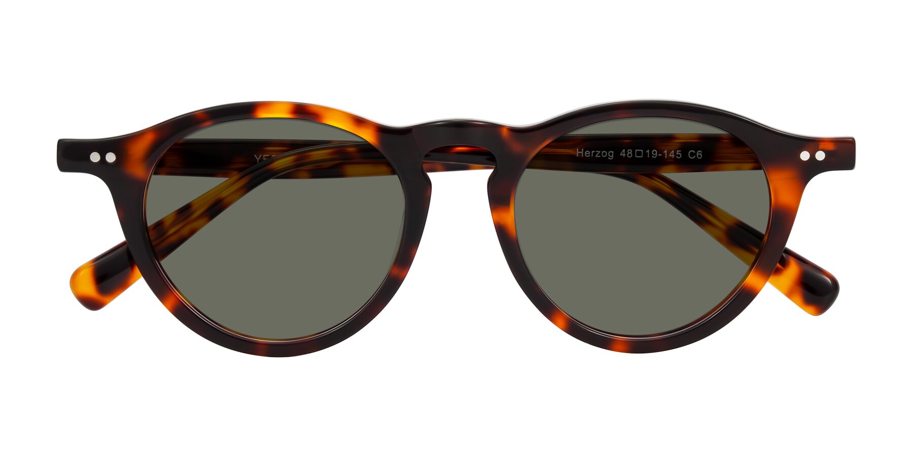 Folded Front of Herzog in Tortoise with Gray Polarized Lenses